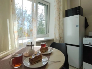 1-Kom Vozle Aeroporta Flat