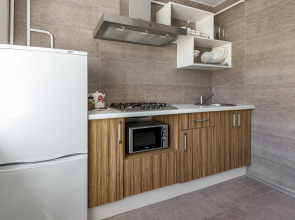 Апартаменты Саквояж у Спасо Преображенского