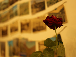 Хостел Moosica