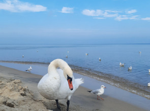 Апартаменты НА ПОБЕРЕЖЬЕ У ОЗЕРА РЯДОМ С МОРЕМ