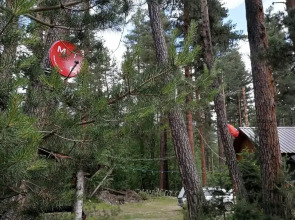 Шале Лес хрустальной песни 1