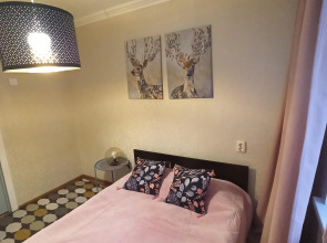 Апартаменты на Семья Шамшиных 69А