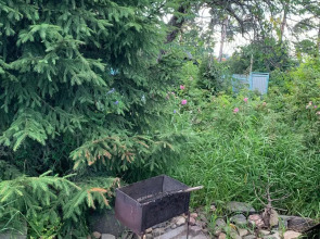 Частный дом в городе Петрозаводске с красивым уединённым участком и баней