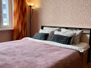 Апартаменты Однокомнатная квартира 143 Онегономе на Лососинском шоссе в Петрозаводске