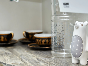 Апартаменты DD.APARTS.VBG : WOW-Студия у Библиотеки ААЛТО