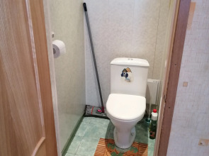 Апартаменты Chaykovskogo