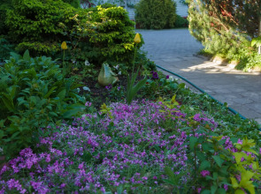 Меблированные комнаты Вилла Северин