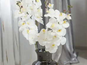 Квартира Студия на Набережной Реки Вологда