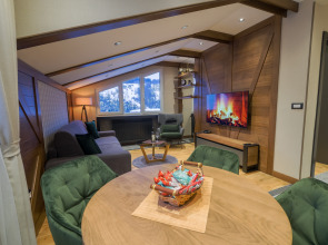Modern Mountain CENTRAL 18 + garage Apartments