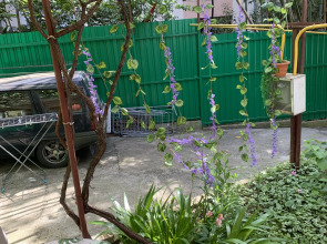 Гостевой дом Жемчужина у моря