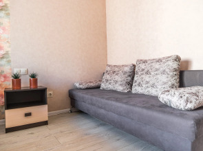 Апартаменты Челябинская 50