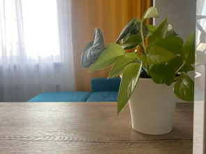 Апартаменты Комфортные семейные на Мавлютова