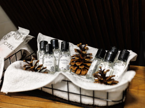 Гостевой дом BEREZKA