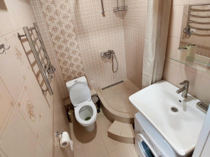 Апартаменты Flamingo Studio