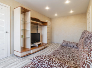 Апартаменты двухкомнатные Stepanenkov на Максима Горького 76