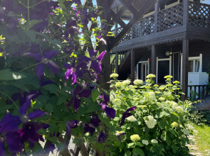 Гостевой дом Белый Аист