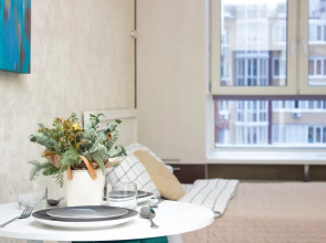 Апартаменты для 1, 2 гостей с видом на город