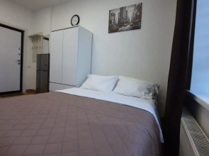 Апартаменты студия Кошурникова 23/1