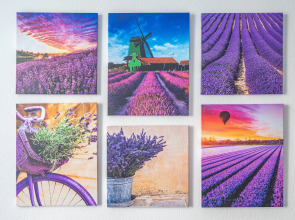 Апартаменты Lavеnder