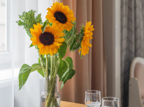 Апартаменты Кварт-Отель, Гашека, 11