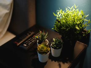 Апартаменты Vincent Apart