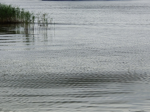 Гостевой дом - Лазурный берег