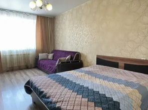 Квартира в Микрорайоне Царский 8
