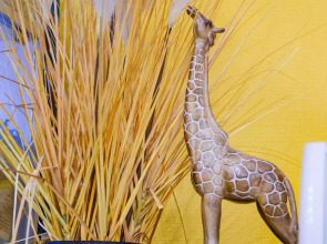 Хостел Измайлова