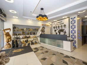 Отель Comfort Suites