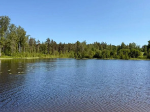 Частный дом Среда обитания