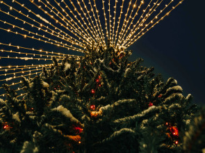 Русские Сезоны Парк Отель Пересвет