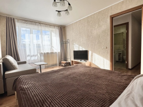 Квартира Zeninapart