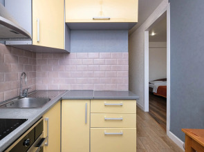 Квартира 1 комнатная на Челюскинцев 14-158