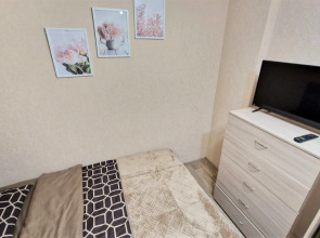 Квартира Краснозвездная 31/319