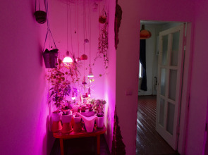 Гостевой дом Замок