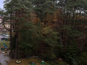 Апартаменты Rauschen Green May