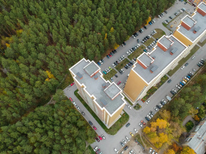 Квартира с окнами на лес