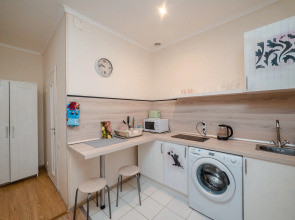 Апартаменты На Маяковской (907)