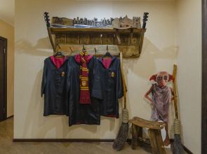 v stile Garri Potter Flat