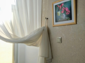 Отель Бристоль-Центральная