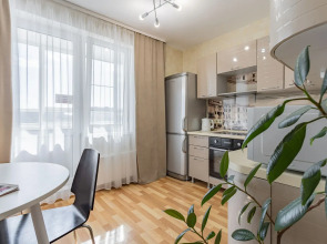 Апартаменты  на ул.Карла Маркса 43, м.Стрелка, Сова-Дом