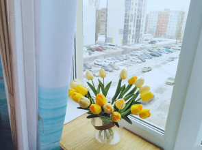 Makarenko 33v  Flat
