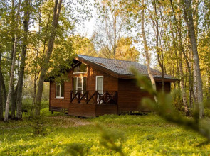 Гостевой дом Ладога Хоум - Лес