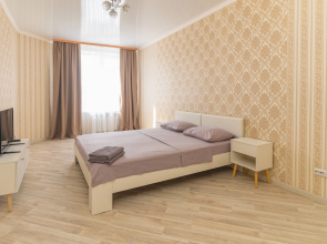 Квартира Чкалова53/3 29
