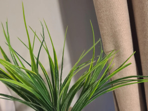 Квартира Уютная в ЖК с фонтаном у моря