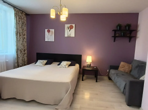 Апартаменты Библиотечная 45 #1