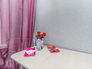 Апартаменты в центре города «МОИАпарты у Парка Гагарина