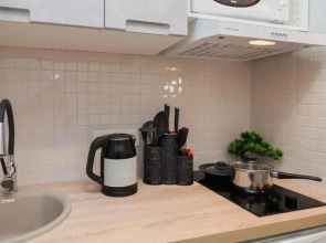 Апартаменты на Фридриха Энгельса-4