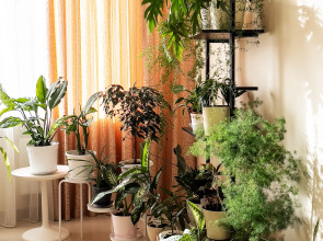 Отель Морская Волна