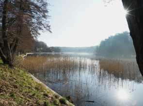 Квартира под шепот волн